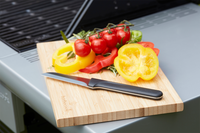 Olivia snijmes uit rvs