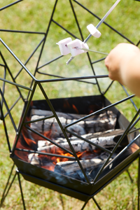 Set van 4 spiezen FSC®